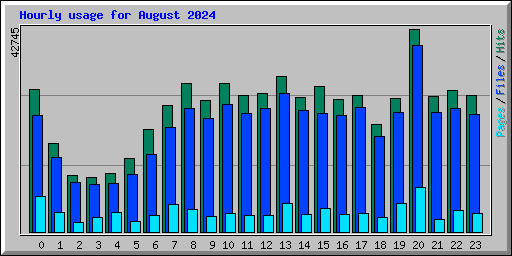 Hourly usage for August 2024